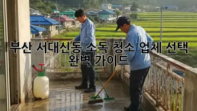 부산 서대신동 소독 청소🧹 업체 선택 완벽 가이드! ✨