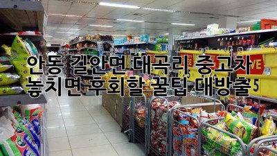 안동 길안면 대곡리 중고차, 놓치면 후회할 꿀팁 대방출! 🚗💨